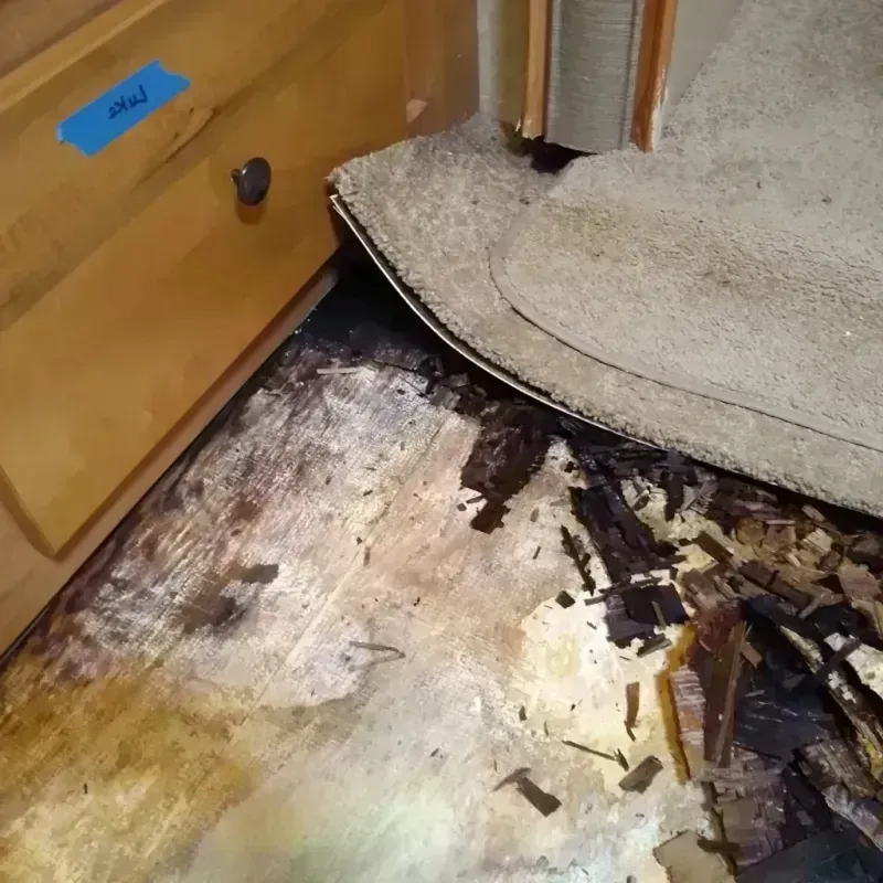 Wood Floor Water Damage in Yosemite Lakes, CA